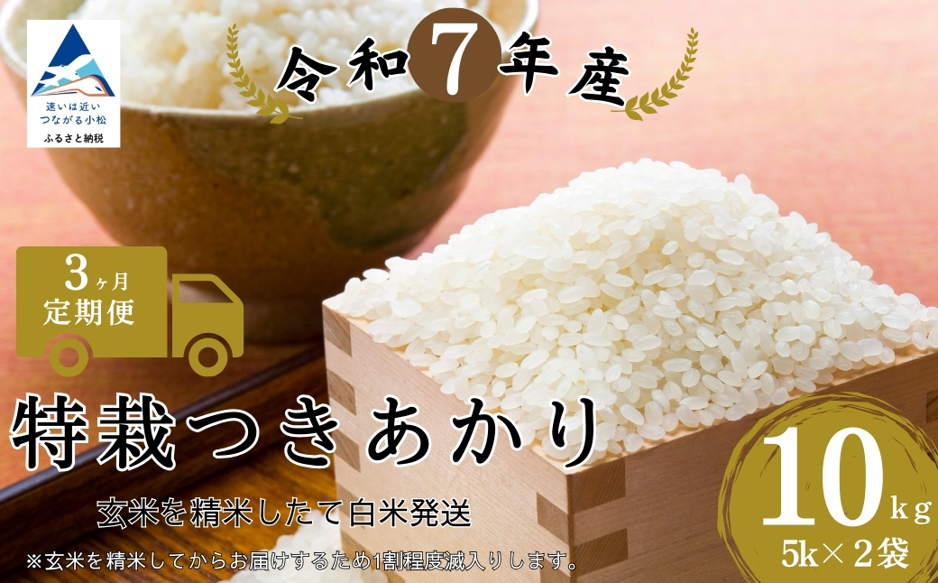 【3ヶ月定期便】特栽つきあかり 精米 白米 （玄米10kgを精米したて白米発送）令和7年産 こしひかり | 石川県 小松市【のむら農産】