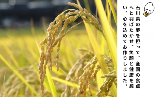ゆめみづほ 精米 5kg 令和7年産 石川県産 お米 米｜石川県 小松市 ＪＡ小松市（経済課）