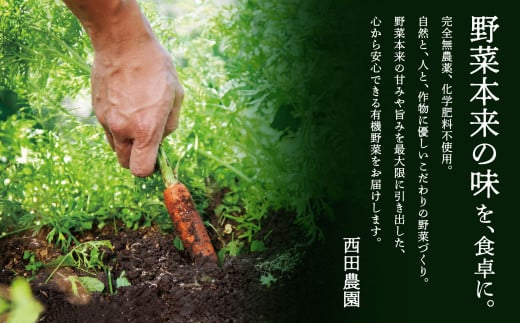 季節の野菜詰合せ 野菜 3ヶ月 定期便｜石川県 小松市 西田農園
