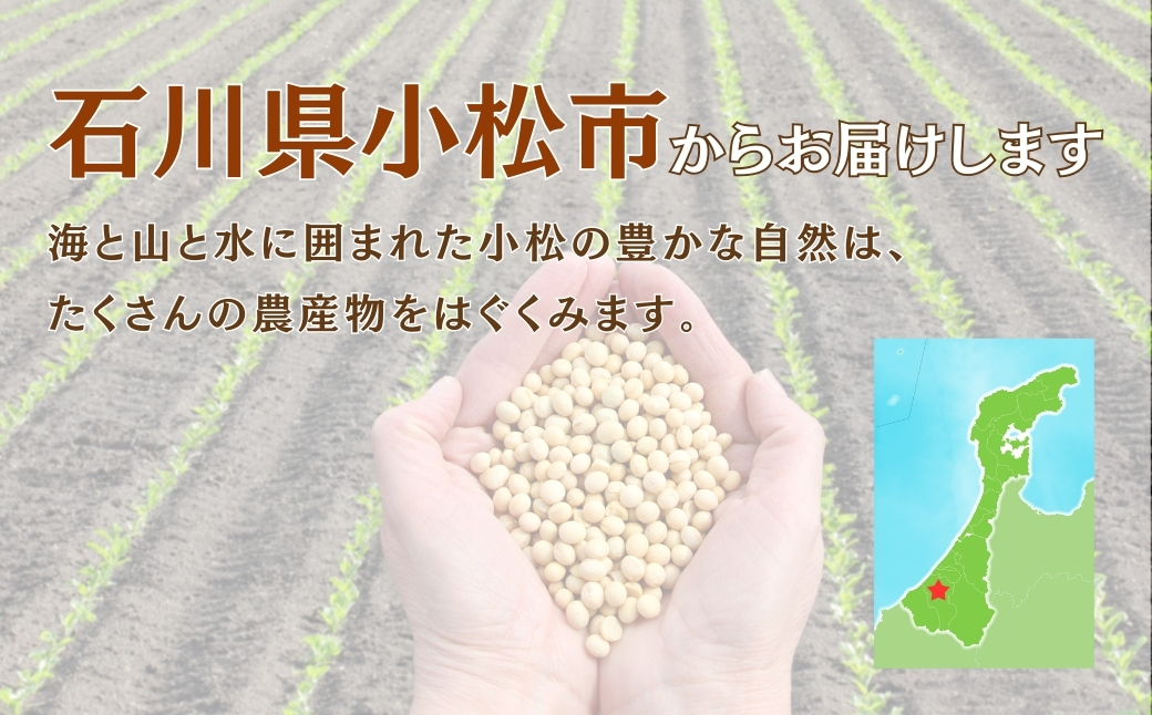 大豆 1kg 豆 イソフラボン おやつ おつまみ 味噌作り| 石川県 小松市 JAあぐり