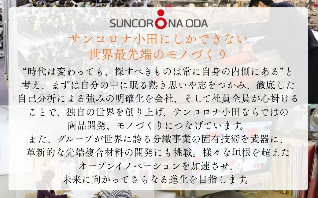 軽量・高強度のカーボンチェア「CALLU」専用チェアカバー：レッド 家具 デザイナーズ チェア いす 受注生産
