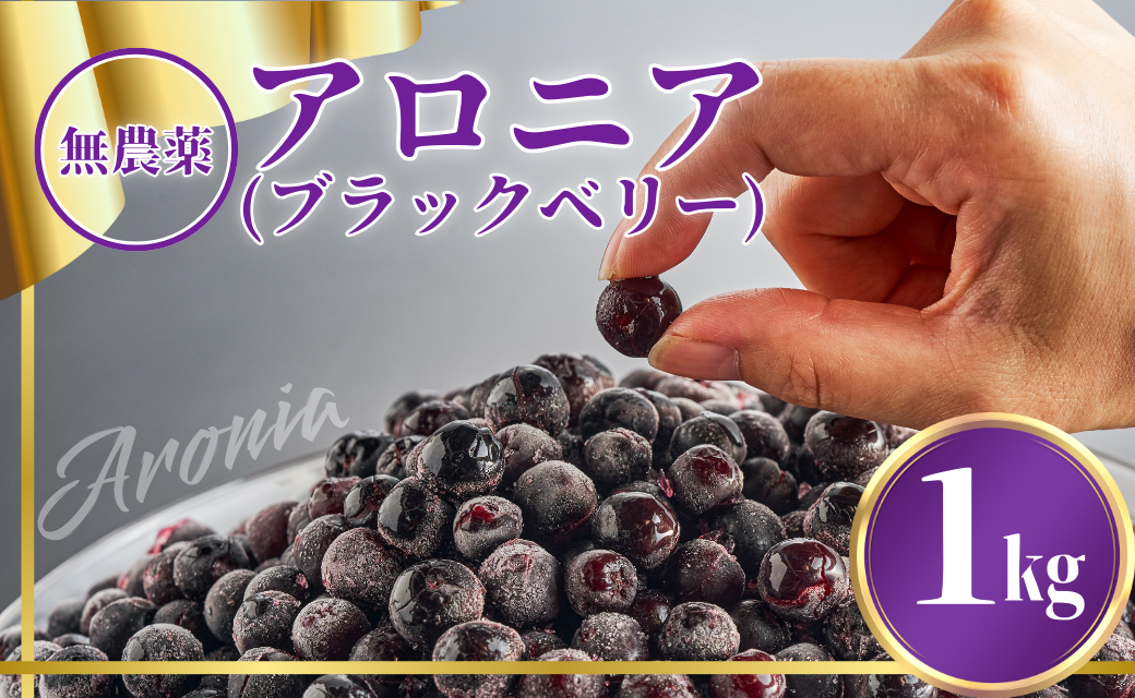 アロニア（ブラックベリー）1kg ベリー 冷凍便 果物 果実 【JA小松市】石川県 小松市