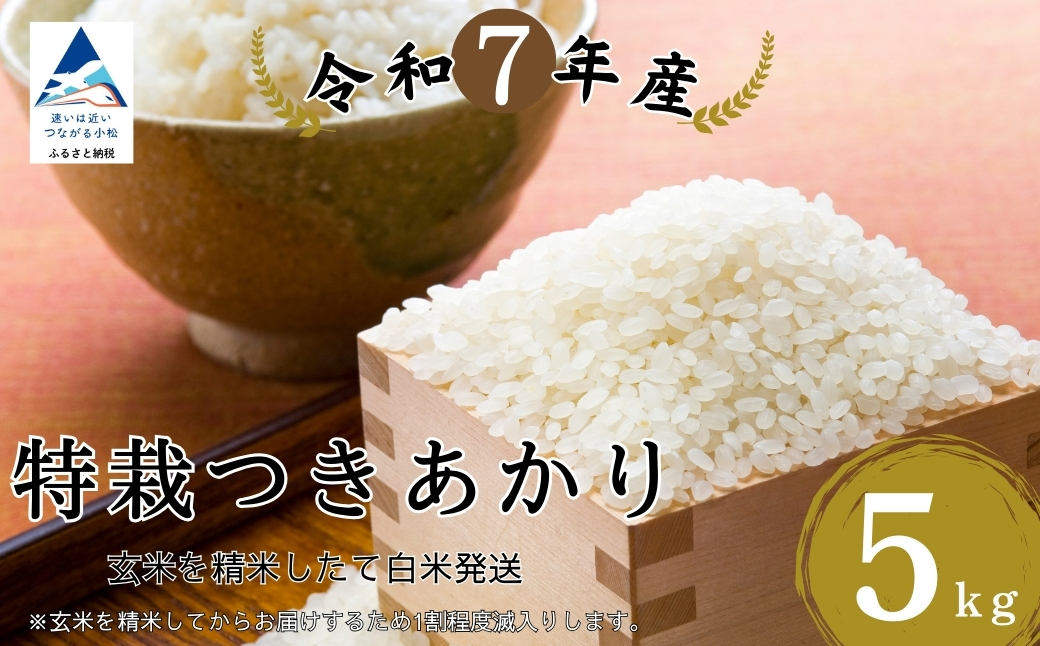特栽つきあかり 精米 白米 （玄米5kgを精米したて白米発送）令和7年度産  | 石川県 小松市【のむら農産】