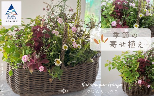 季節の寄せ植え《籐籠》