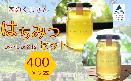 はちみつセット あかしあ＆桜 400g×2本 ハチミツ アカシア 小松市 石川県 【森のくまさん】