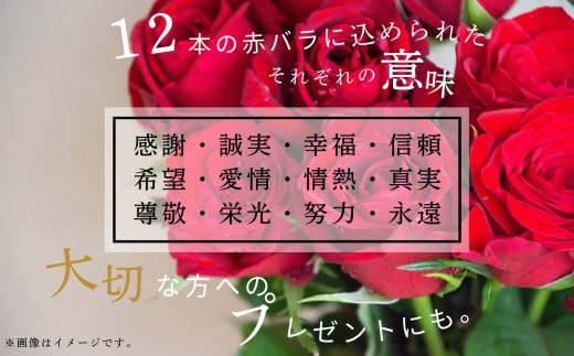 闃ア 繧、繝ウ繝繝ェ繧「 鬟セ繧 縲翫励Μ繧カ繝シ繝悶ラ繝輔Λ繝ッ繝シ縲九襍、縺繝舌Λ闃ア譚12譛ャ