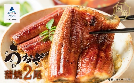 国産うなぎ蒲焼２尾