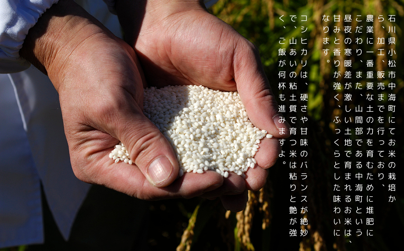 雜繧ウ繧キ繝偵き繝ェ 邊セ邀ウ 逋ス邀ウ シ育私邀ウ2kg繧堤イセ邀ウ縺励◆縺ヲ逋ス邀ウ逋コ騾シ 莉、蜥7蟷エ逕」 縺薙@縺イ縺九j | 遏ウ蟾晉恁 蟆乗收蟶ゅ舌ョ繧繧芽セイ逕」縲