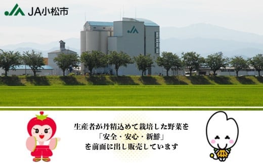 繧「繝ュ繝九いシ医ヶ繝ゥ繝繧ッ繝吶Μ繝シシ1kg 繝吶Μ繝シ 蜀キ蜃堺セソ 譫懃黄 譫懷ョ 縲辱A蟆乗收蟶ゅ醍浹蟾晉恁 蟆乗收蟶