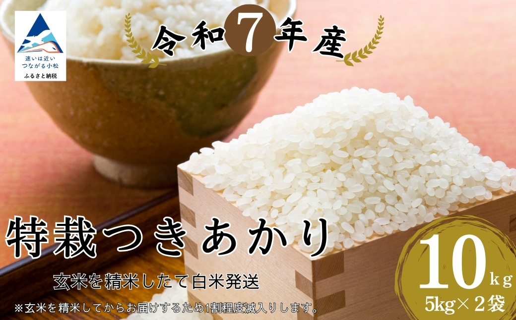 特栽つきあかり 精米 白米 （玄米10kgを精米したて白米発送）令和7年度産  | 石川県 小松市【のむら農産】