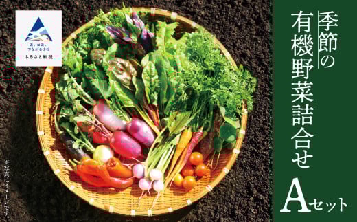 西田農園 季節の有機野菜詰合せ Aセット 野菜食べ比べ 旬の野菜 野菜セット オーガニック野菜 有機栽培 ｜ 石川県 小松市 【西田農園】