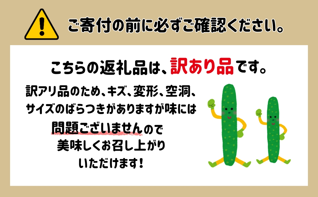【先行予約】 四川きゅうり 5kg (訳アリ) 野菜 ギフト | 石川県 小松市 本田農園