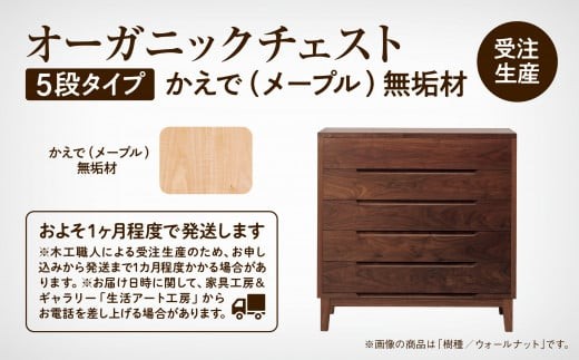 ãç¡å¢æãåŒåžããŠè¡£é¡ãå®ãããªãŒã¬ããã¯ãã§ã¹ãã5段ã¿ã€ããããã§ïŒã¡ãŒãã«ïŒç¡å¢æ