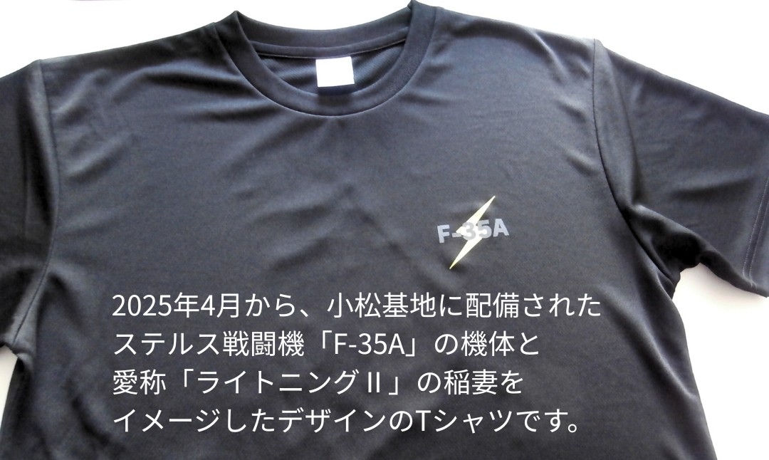 蟆乗收蝓コ蝨ー繧ェ繝ェ繧ク繝翫ΝF-35A T繧キ繝」繝 鮟抵シLL繧オ繧、繧コシ