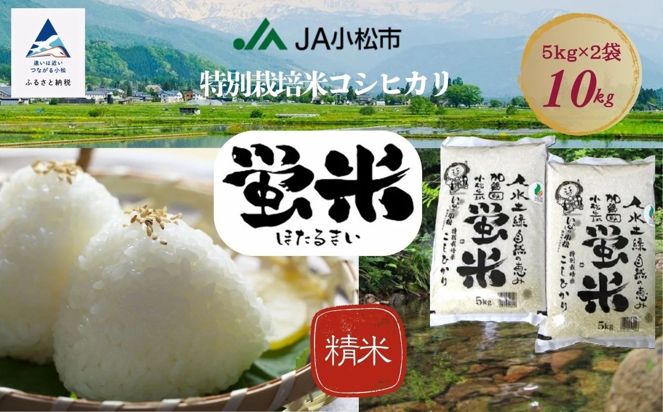 縲仙郁。御コ育エ縲台サ、蜥8蟷エ逕」縲千音蛻・譬ス蝓ケ邀ウ繧ウ繧キ繝偵き繝ェ縲題寫邀ウ 邊セ邀ウ 10kgシ5kgテ2陲具シ会ス懃浹蟾晉恁 蟆乗收蟶 シェシ。蟆乗收蟶