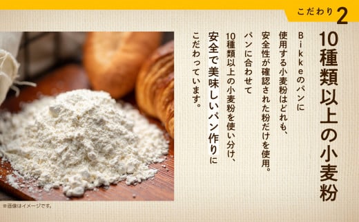 クランベリーベーグル10個セット 【Bikke】 パン 冷凍 石川県 小松市