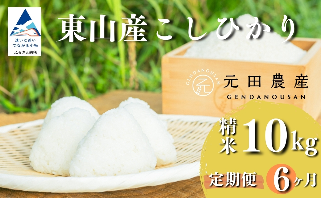 【定期便】令和7年産 コシヒカリ 精米 10kg×6ヶ月（毎月） お米 白米 こしひかり｜石川県 小松市 【元田農産】