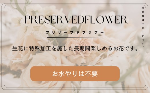 闃ア 繧、繝ウ繝繝ェ繧「 鬟セ繧 縲翫励Μ繧カ繝シ繝悶ラ繝輔Λ繝ッ繝シ縲九襍、縺繝舌Λ闃ア譚12譛ャ