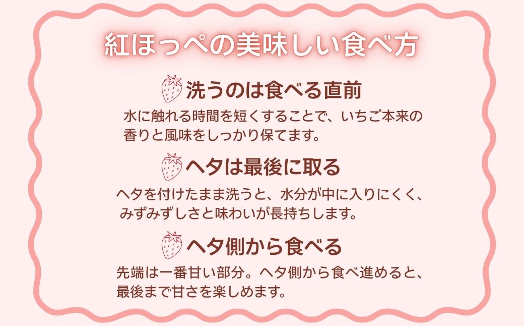 こまつイチゴ 紅ほっぺ 【 3パック（約750g）】苺 べにほっぺ | 石川県 小松市