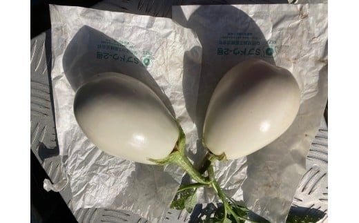 【先行予約】 季節限定 のうちゃんファームの白なす 6個 ナス 茄子 野菜