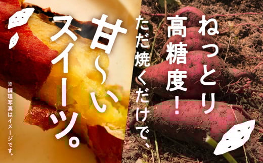 さつまいも 野菜 おやつ【農薬・化学肥料不使用】ねっとり甘~い おいもさん（紅はるか） ５kg