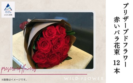 闃ア 繧、繝ウ繝繝ェ繧「 鬟セ繧 縲翫励Μ繧カ繝シ繝悶ラ繝輔Λ繝ッ繝シ縲九襍、縺繝舌Λ闃ア譚12譛ャ