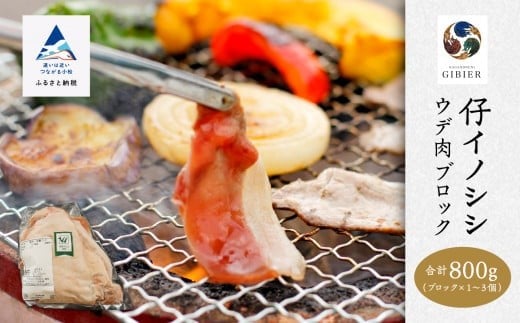 仔イノシシ ウデ肉 ブロック800g | 石川県 小松市 【ジビエアトリエ加賀の國】