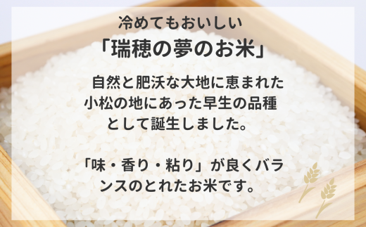 ゆめみづほ 精米 5kg 令和7年産 石川県産 お米 米｜石川県 小松市 ＪＡ小松市（経済課）