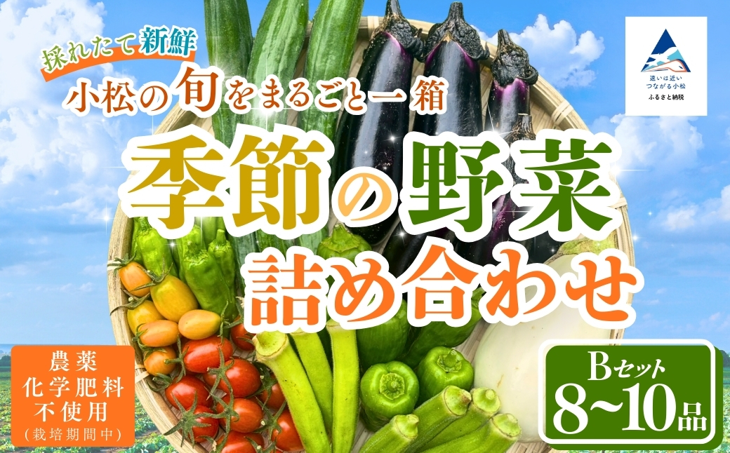 季節の野菜詰め合わせ Bセット 野菜食べ比べ 旬の野菜 野菜セット | 石川県 小松市【Kacchan.Farm】