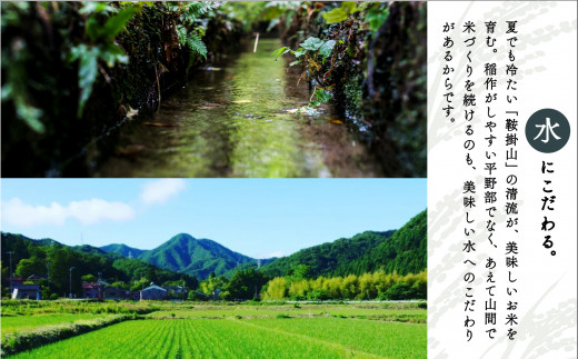 有機栽培米こしひかり 5kg 石川県産 お米 米｜石川県 小松市 有限会社ジャパンファーム