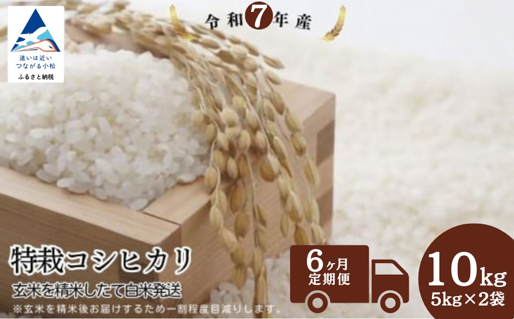 【6ヶ月定期便】特栽コシヒカリ 精米 白米 （玄米10kgを精米したて白米発送）令和7年産 こしひかり | 石川県 小松市【のむら農産】