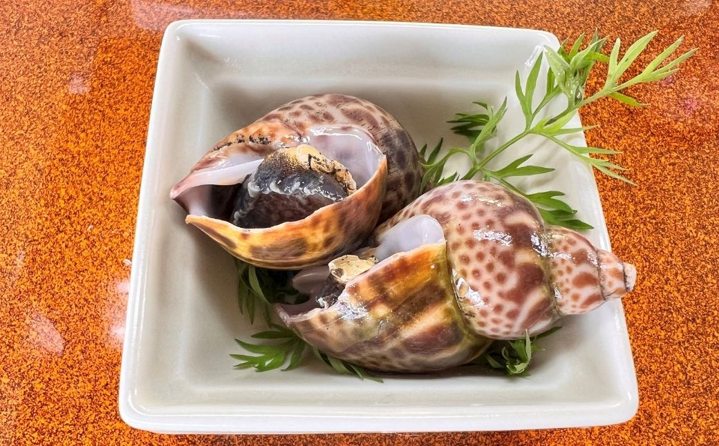 【季節限定】【600g】黒ばい貝水煮（冷凍）200g×3袋