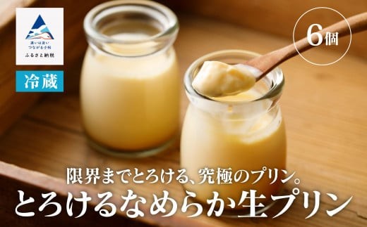 とろけるなめらか生プリン（6個入り）
