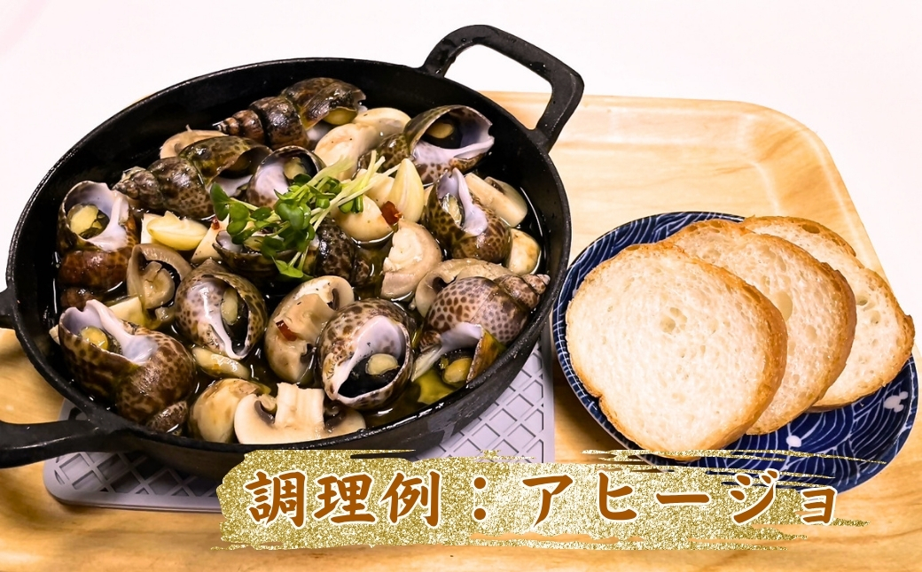 【季節限定】活黒ばい貝 （あずき貝）1kg 海鮮 父の日 ギフト プレゼント【石川県漁業協同組合小松支所】