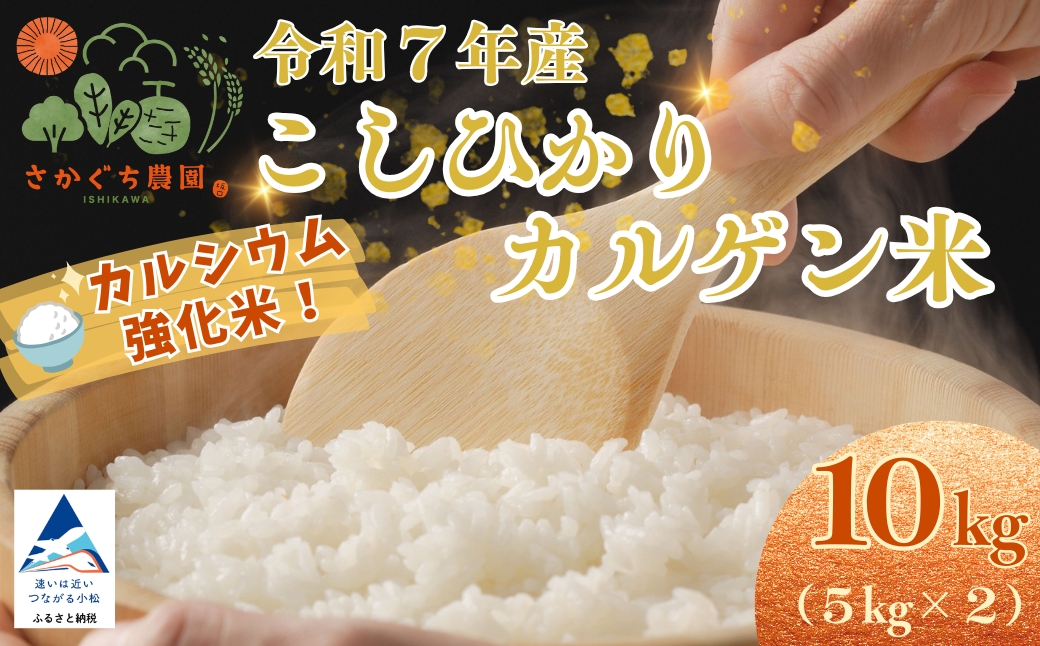 令和7年産 こしひかりカルゲン米 10kg(5kg×2) お米 白米 コシヒカリ | 石川県 小松市【坂口農園】