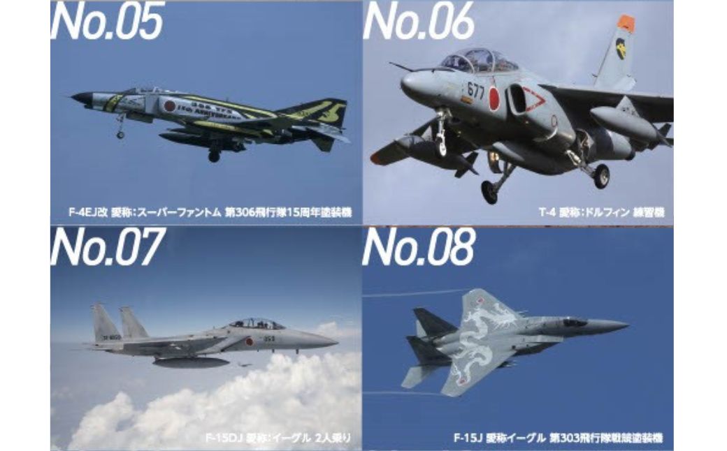航空自衛隊 小松基地 隊員給食カレー 選べるパッケージ 3個セット
