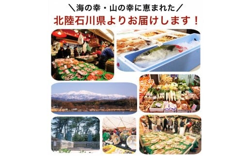 鯖の西京漬け 12切 ※12/23までのお申込みで年内配送！ 西京焼き 魚 切り身 さば サバ 冷凍 石川県 小松市 【カネナカ食品工業】