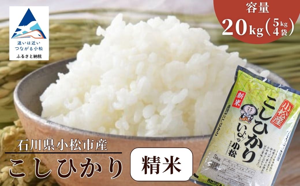 縲仙郁。御コ育エ縲台サ、蜥8蟷エ逕」 蟆乗收逕」縺薙@縺イ縺九j 邊セ邀ウ 20kgシ5kgテ4陲具シ 邀ウ 縺顔アウス懃浹蟾晉恁 蟆乗收蟶 シェシ。蟆乗收蟶