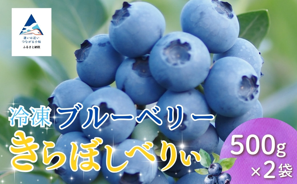 冷凍ブルーベリー５００ｇ×２袋