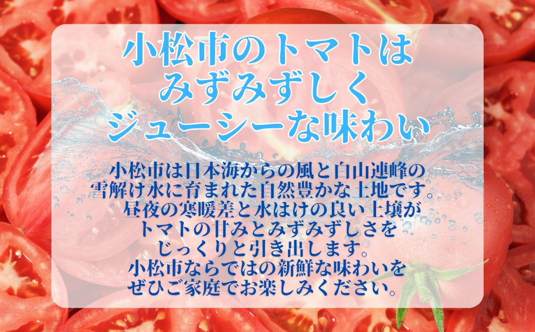 æ¥ããã çŽ4kgïŒ20çïœ24çïŒ å°æŸç£ éè æ¥ãšãŸãš | ç³å·ç å°æŸåžãJAãããã