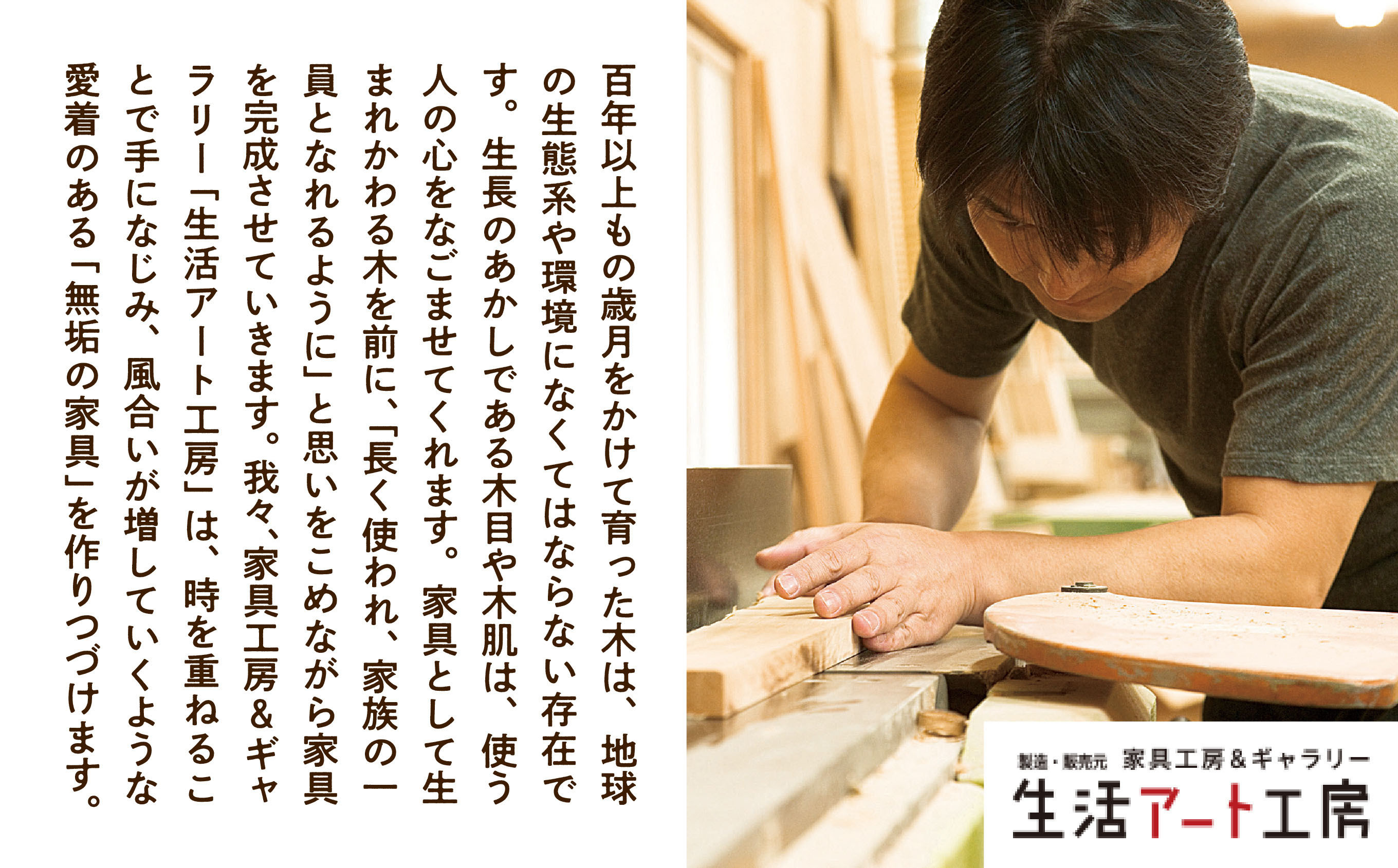 ソリッドランプ　ウオールナット