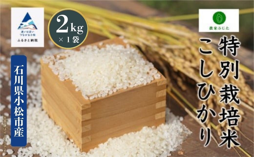 コシヒカリ 2kg 特別栽培米 令和7年産 こしひかり 精米 コメ お米 こめ 石川県 小松市 【農家ふじた】