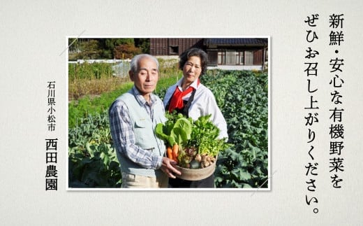 西田農園 季節の有機野菜詰合せ Aセット 野菜食べ比べ 旬の野菜 野菜セット オーガニック野菜 有機栽培 ｜ 石川県 小松市 【西田農園】