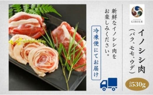 猪肉 イノシシ肉 食べ比べセット（バラ モモ ウデ） 合計530g 天然ジビエ 冷凍 スライス | 石川県 小松市 【ジビエアトリエ加賀の國】
