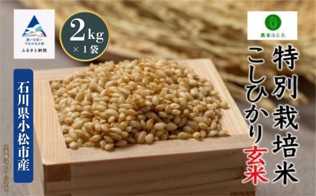 コシヒカリ 玄米 2kg 特別栽培米 令和7年産 こしひかり コメ お米 石川県産 小松市産 【農家ふじた】