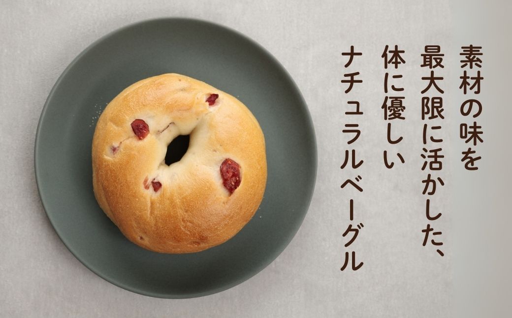 クランベリーベーグル10個セット 【Bikke】 パン 冷凍 石川県 小松市