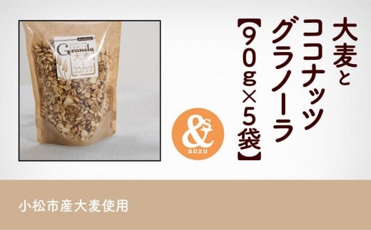 ã·ãªã¢ã« æé£ å°æŸç£ 倧麊ãšã³ã³ãããã°ã©ããŒã© 5è¢ããŸãšã | ç³å·ç å°æŸåž ãäžè¬ç€Ÿå£æ³äººãããã®æšã