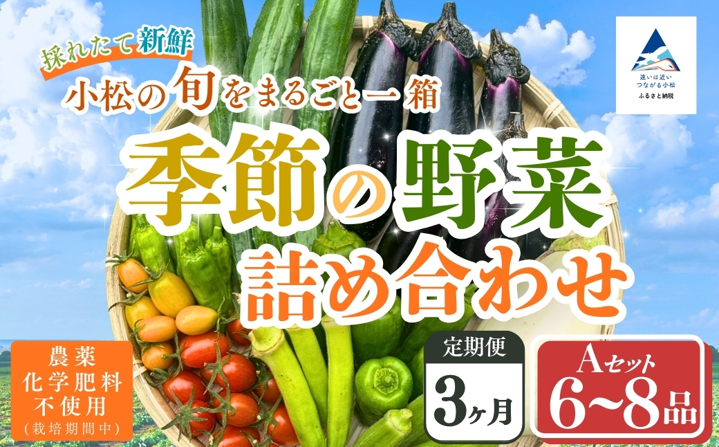 【定期便3ヶ月】季節の野菜詰め合わせ Aセット 野菜食べ比べ 旬の野菜 野菜セット定期便 | 石川県 小松市【Kacchan.Farm】