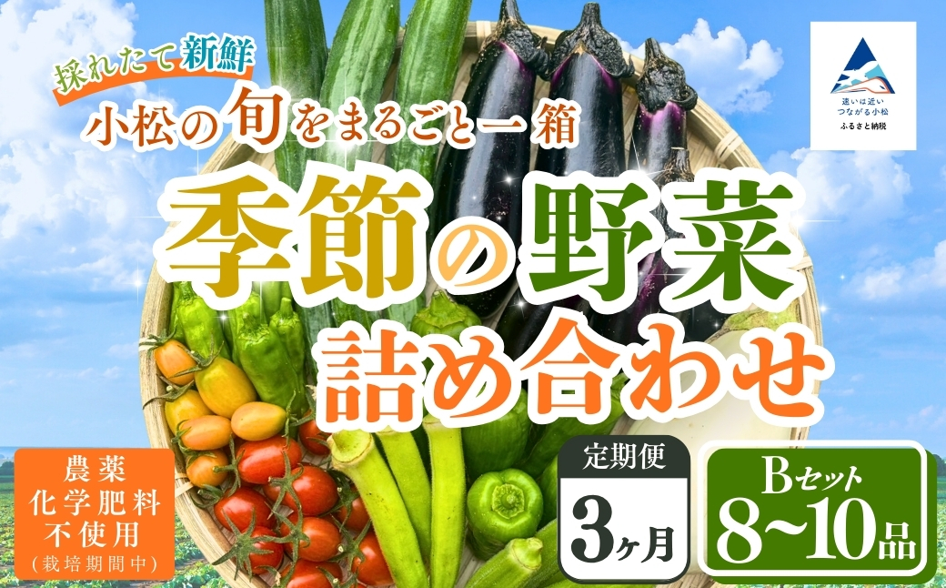 【定期便3ヶ月】季節の野菜詰め合わせ Bセット 野菜食べ比べ 旬の野菜 野菜セット 定期便 | 石川県 小松市【Kacchan.Farm】
