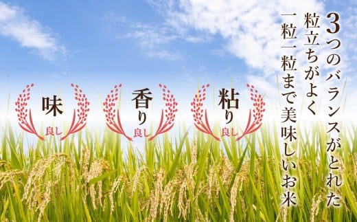 縲仙郁。御コ育エ縲台サ、蜥8蟷エ逕」 蟆乗收逕」縺薙@縺イ縺九j 邊セ邀ウ 20kgシ5kgテ4陲具シ 邀ウ 縺顔アウス懃浹蟾晉恁 蟆乗收蟶 シェシ。蟆乗收蟶